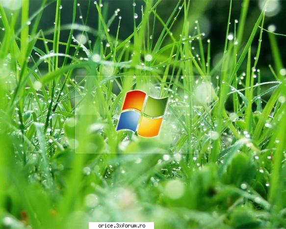 Wallpapere Vista - the mb - Poze Deskop/Wallpapere